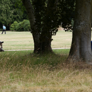 MakingOf - Blickachsen Kurpark Bad Homburg