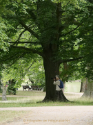 MakingOf - Blickachsen Kurpark Bad Homburg