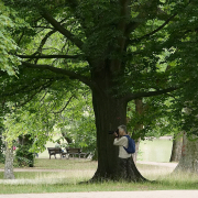 MakingOf - Blickachsen Kurpark Bad Homburg