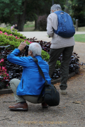 MakingOf - Blickachsen Kurpark Bad Homburg