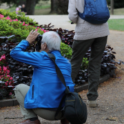 MakingOf - Blickachsen Kurpark Bad Homburg