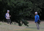MakingOf - Blickachsen Kurpark Bad Homburg