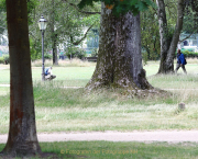 MakingOf - Blickachsen Kurpark Bad Homburg
