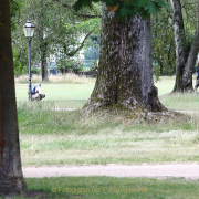 MakingOf - Blickachsen Kurpark Bad Homburg