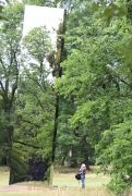 MakingOf - Blickachsen Kurpark Bad Homburg