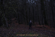 MakingOf - Mystischer Wald