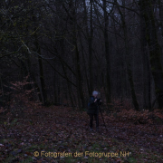 MakingOf - Mystischer Wald