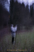 MakingOf - Mystischer Wald