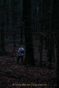 MakingOf - Mystischer Wald