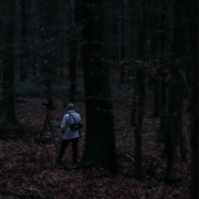 MakingOf - Mystischer Wald