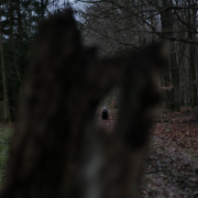 MakingOf - Mystischer Wald