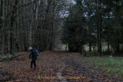 MakingOf - Mystischer Wald