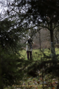 MakingOf - Mystischer Wald