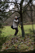 MakingOf - Mystischer Wald