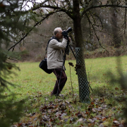 MakingOf - Mystischer Wald