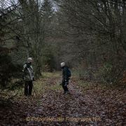 MakingOf - Mystischer Wald