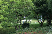 MakingOf - Kurpark Wiesbaden