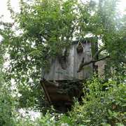 Niedernhausen - Fotograf Joachim Würth