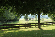 Niedernhausen - Fotograf Joachim Würth