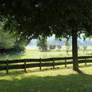 Niedernhausen - Fotograf Joachim Würth