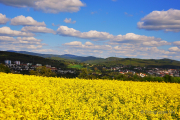 Niedernhausen - Fotograf Albert Wenz