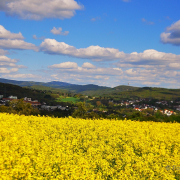 Niedernhausen - Fotograf Albert Wenz