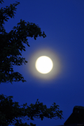 Himmlische LIchter - Fotograf AlbertWenz