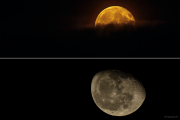 Himmlische LIchter - Fotografin Jutta R. Buchwald