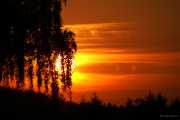 Himmlische LIchter - Fotograf Wolfgang Schüller