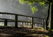 Herbst - Fotograf Clemens Schnitzler