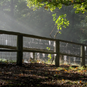 Herbst - Fotograf Clemens Schnitzler