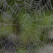 Herbst - Fotograf Clemens Schnitzler