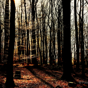 Herbst - Fotografin Jutta R. Buchwald