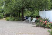Rosarium - Regionalpark Rhein-Main