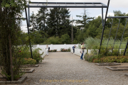 Rosarium - Regionalpark Rhein-Main