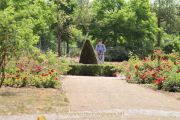 Rosarium - Regionalpark Rhein-Main