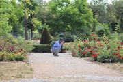 Rosarium - Regionalpark Rhein-Main