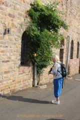 Kloster Eibingen - Außerhalb der Klostermauer