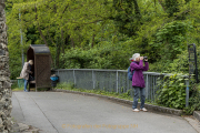 Historisches - Oberwesel
