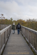 Baumwipfelpfad Bad Camberg