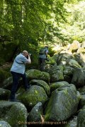 Licht und Schatten im Felsenmeer