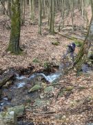 Glas – Farbe – Wald in Kombination