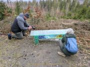 Glas – Farbe – Wald in Kombination