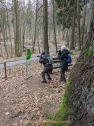 Glas – Farbe – Wald in Kombination