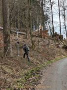 Glas – Farbe – Wald in Kombination
