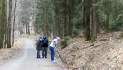 Glas – Farbe – Wald in Kombination
