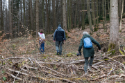 Glas – Farbe – Wald in Kombination
