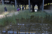 Wassergarten Reden