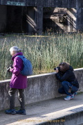 Wassergarten Reden