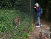 Wildtiergehege Weilburg
